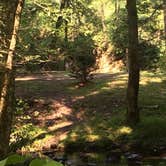Review photo of Greenbrier Campground by matt M., August 7, 2018