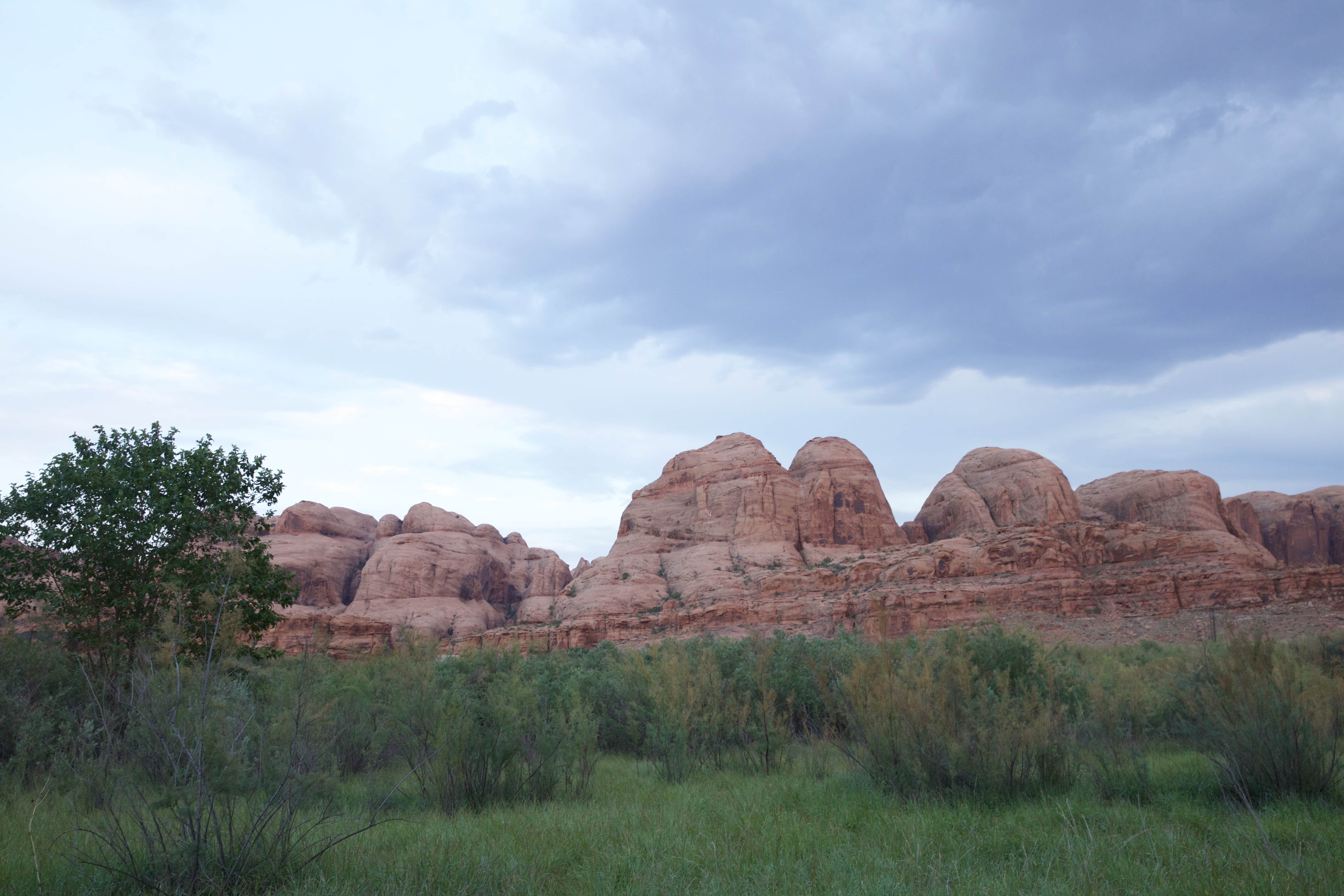 Williams Bottom Campground | Moab, UT