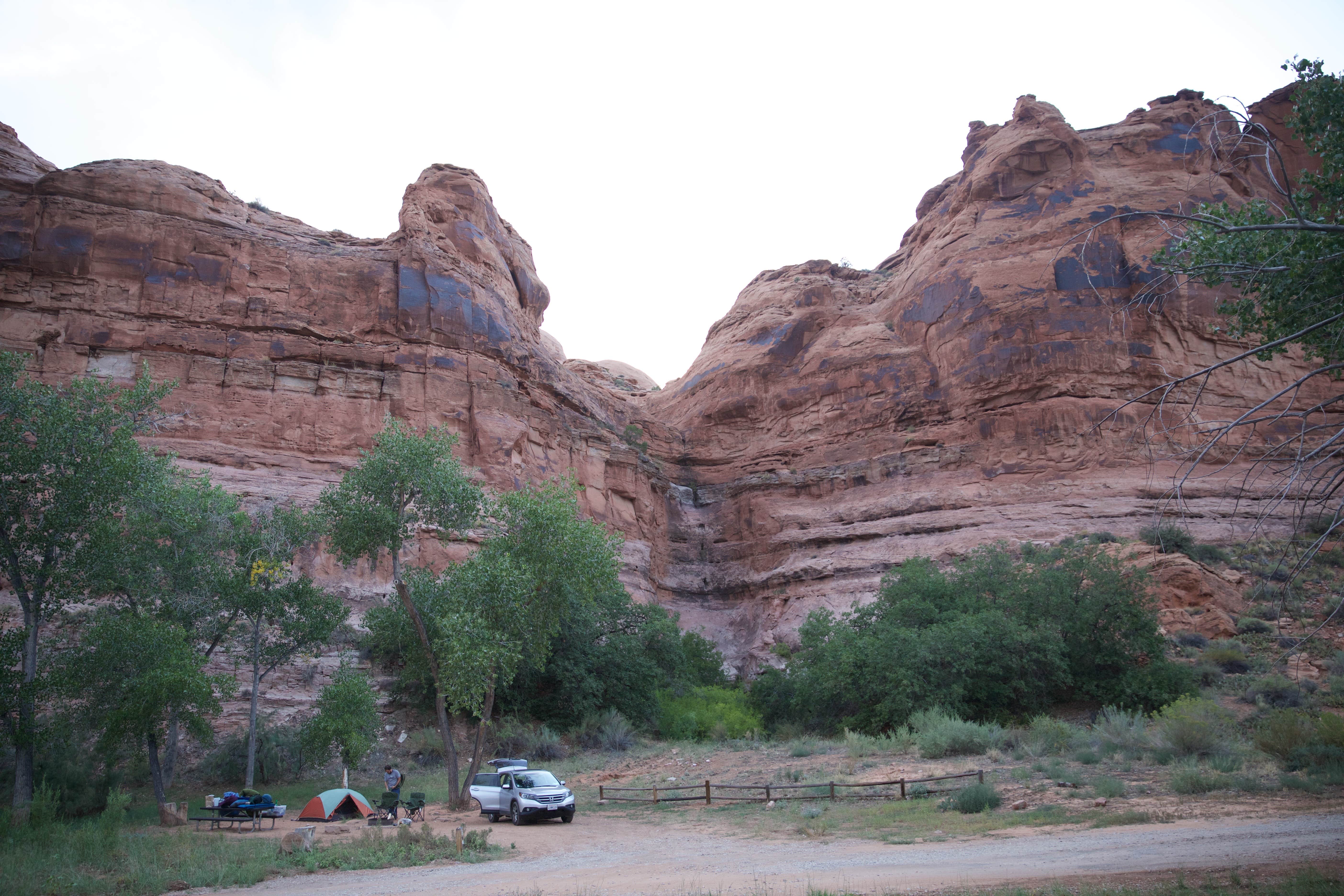 William's Bottom Campground 