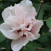 Review photo of Gulpha Gorge Campground — Hot Springs National Park by Crystal C., August 7, 2018