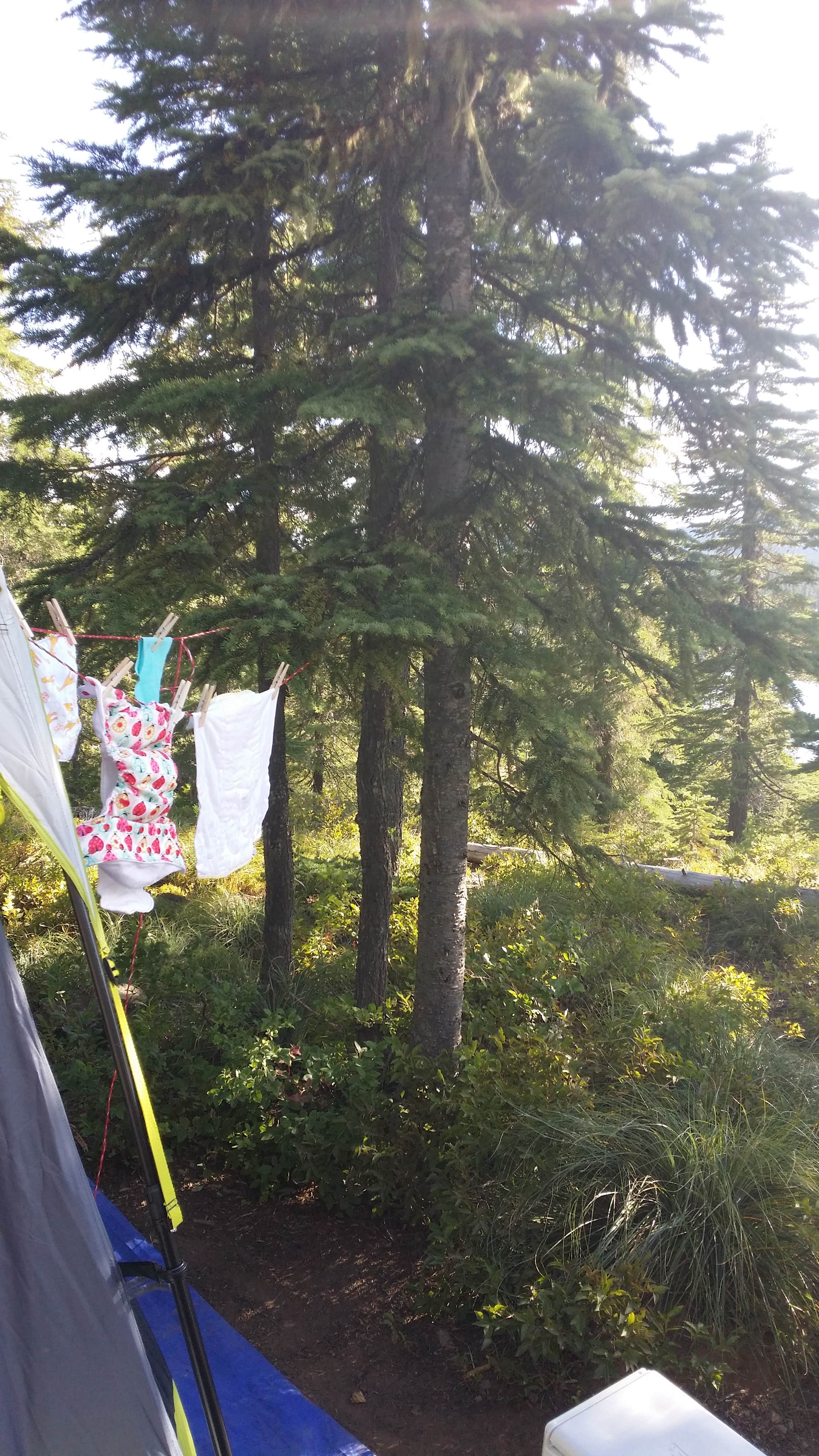 Camper submitted image from Olallie Lake Guard Station Cabin - 2