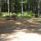 Review photo of Catskill/Kenneth L Wilson Campground by phillip L., July 30, 2016
