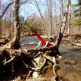 Review photo of Quaker Area — Allegany State Park State Park by Alex B., August 7, 2018