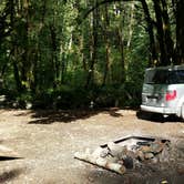 Review photo of Tillamook Forest Dispersed on the Nehalem River by Lana N., August 7, 2018