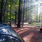 Review photo of Catskill/Kenneth L Wilson Campground by phillip L., July 30, 2016