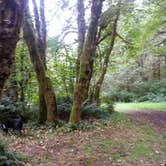 Review photo of Tillamook Forest Dispersed Camping on the Nehalem River by Lana N., August 7, 2018