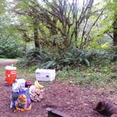 Review photo of Tillamook Forest Dispersed on the Nehalem River by Lana N., August 7, 2018