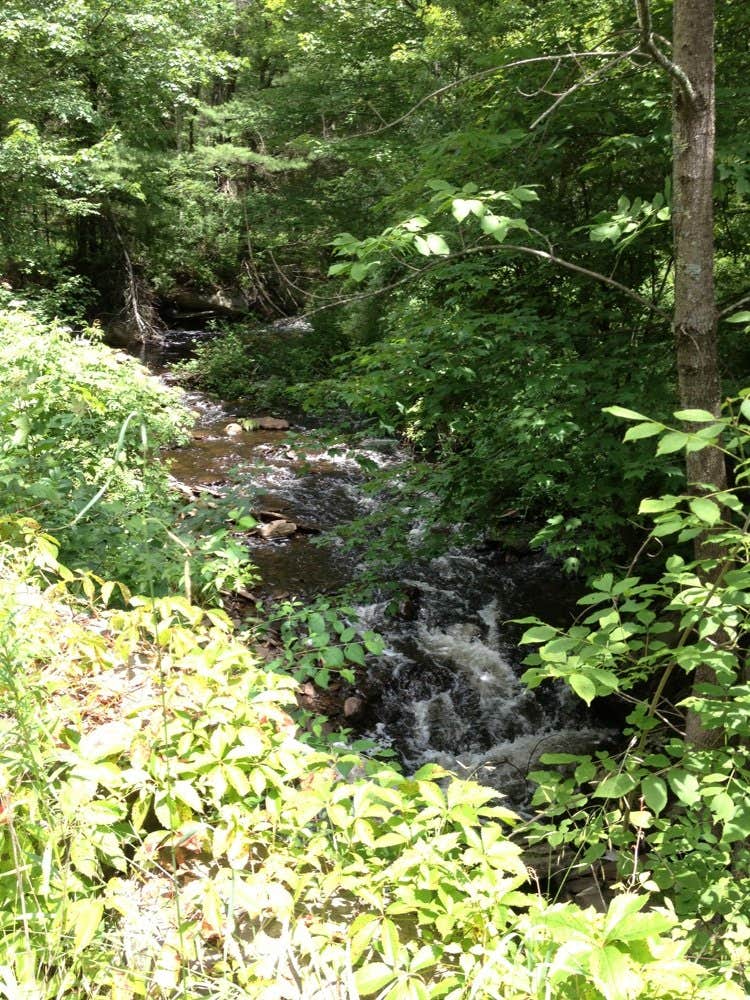 Camper-submitted photo at Catskill/Kenneth L Wilson Campground near Ulster Park, NY