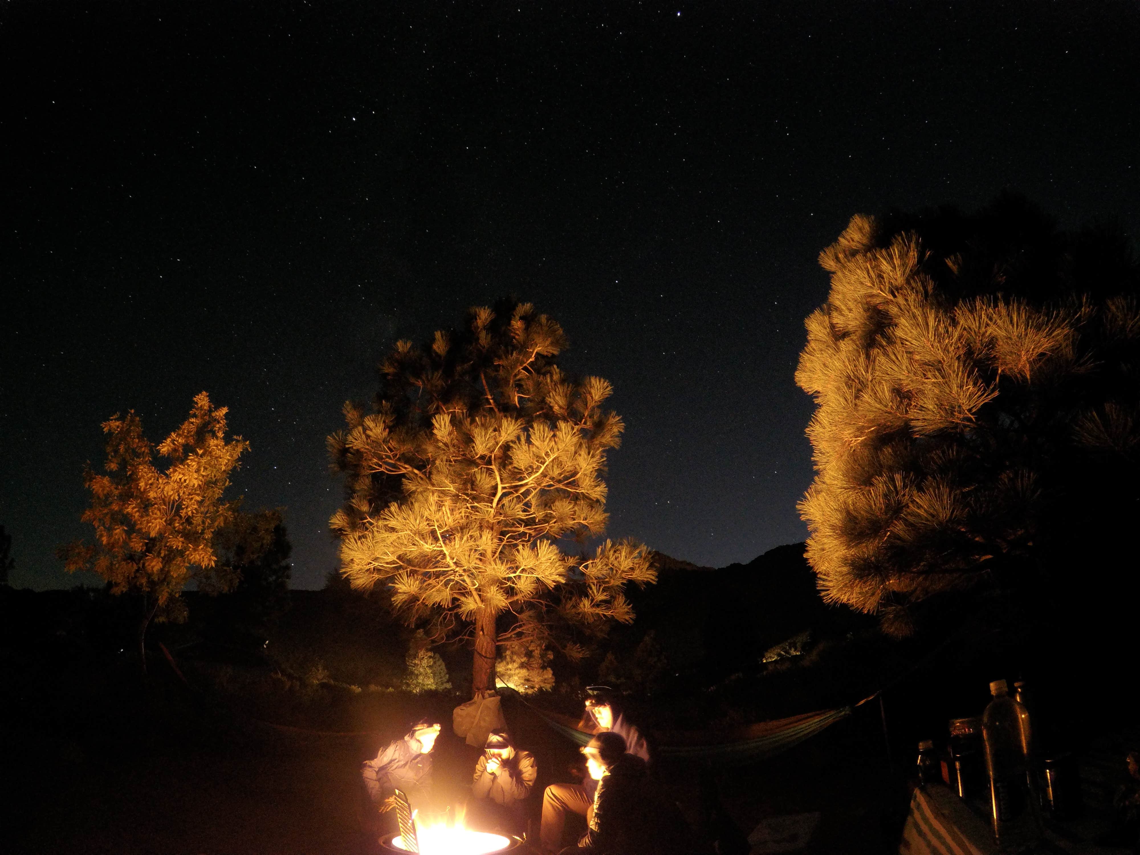 Zack R.'s photo at Grays Meadows near Seven Pines, CA