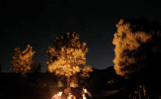 Zack R.'s photo at Grays Meadows near Sequoia & Kings Canyon National Parks