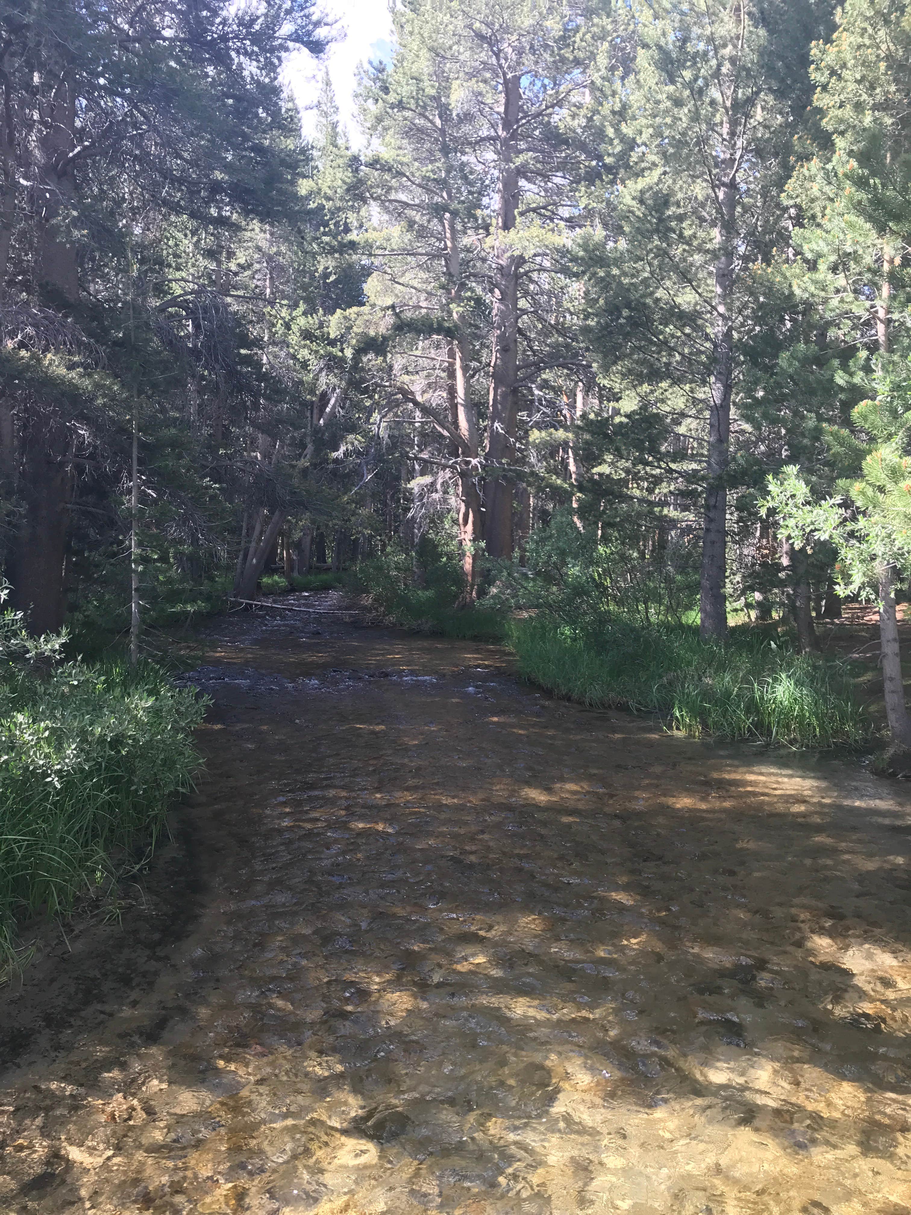 Camper submitted image from East Fork Campground – Inyo National Forest (CA) - 3