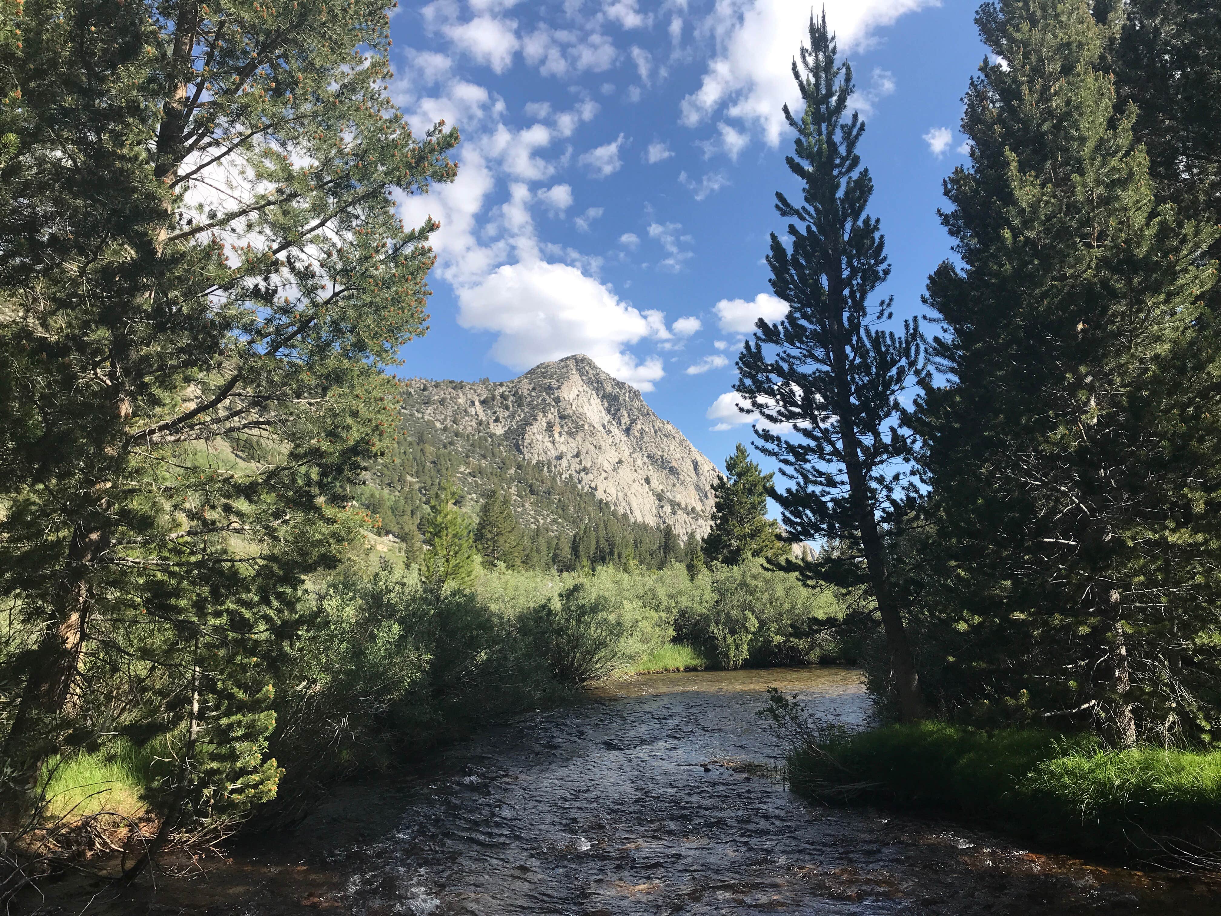 Camper submitted image from East Fork Campground – Inyo National Forest (CA) - 5
