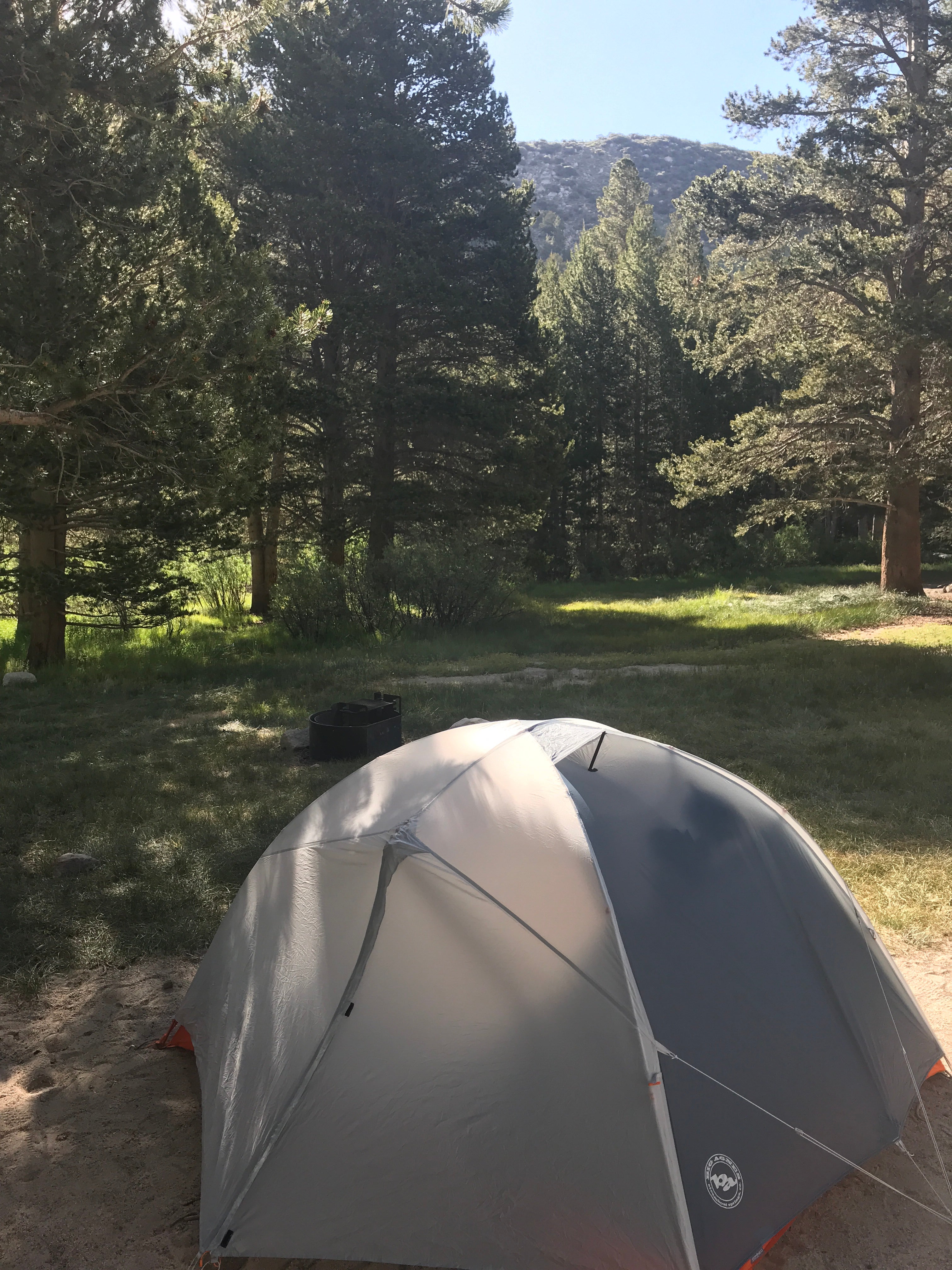 Camper submitted image from East Fork Campground – Inyo National Forest (CA) - 5