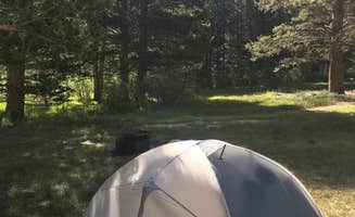 Zack R.'s photo at East Fork Campground – Inyo National Forest (CA) near Dyer, NV