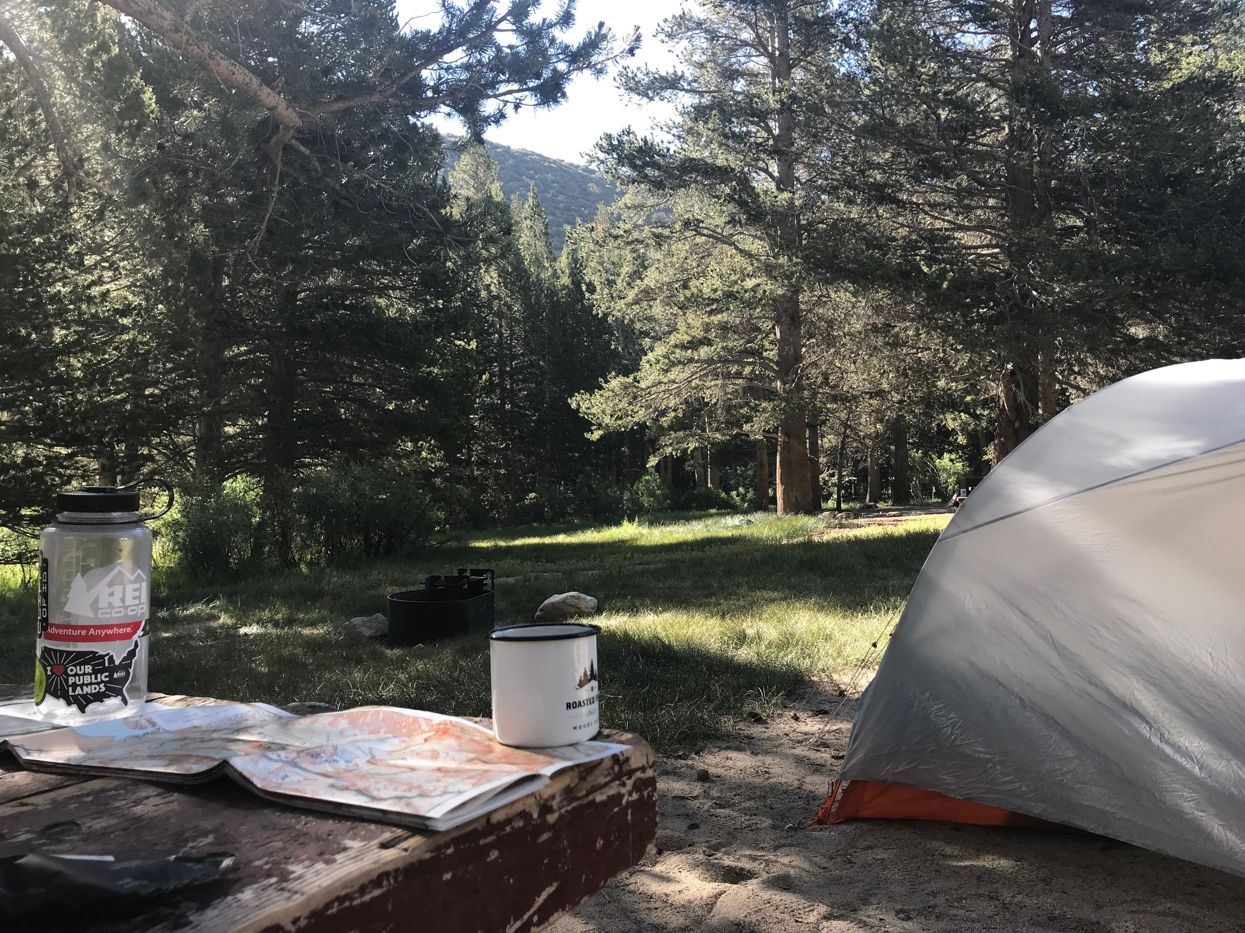 Camper submitted image from East Fork Campground – Inyo National Forest (CA) - 4