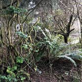 Review photo of Cape Blanco State Park Campground by Debbie B., August 7, 2018