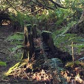 Review photo of Cape Blanco State Park Campground by Debbie B., August 7, 2018