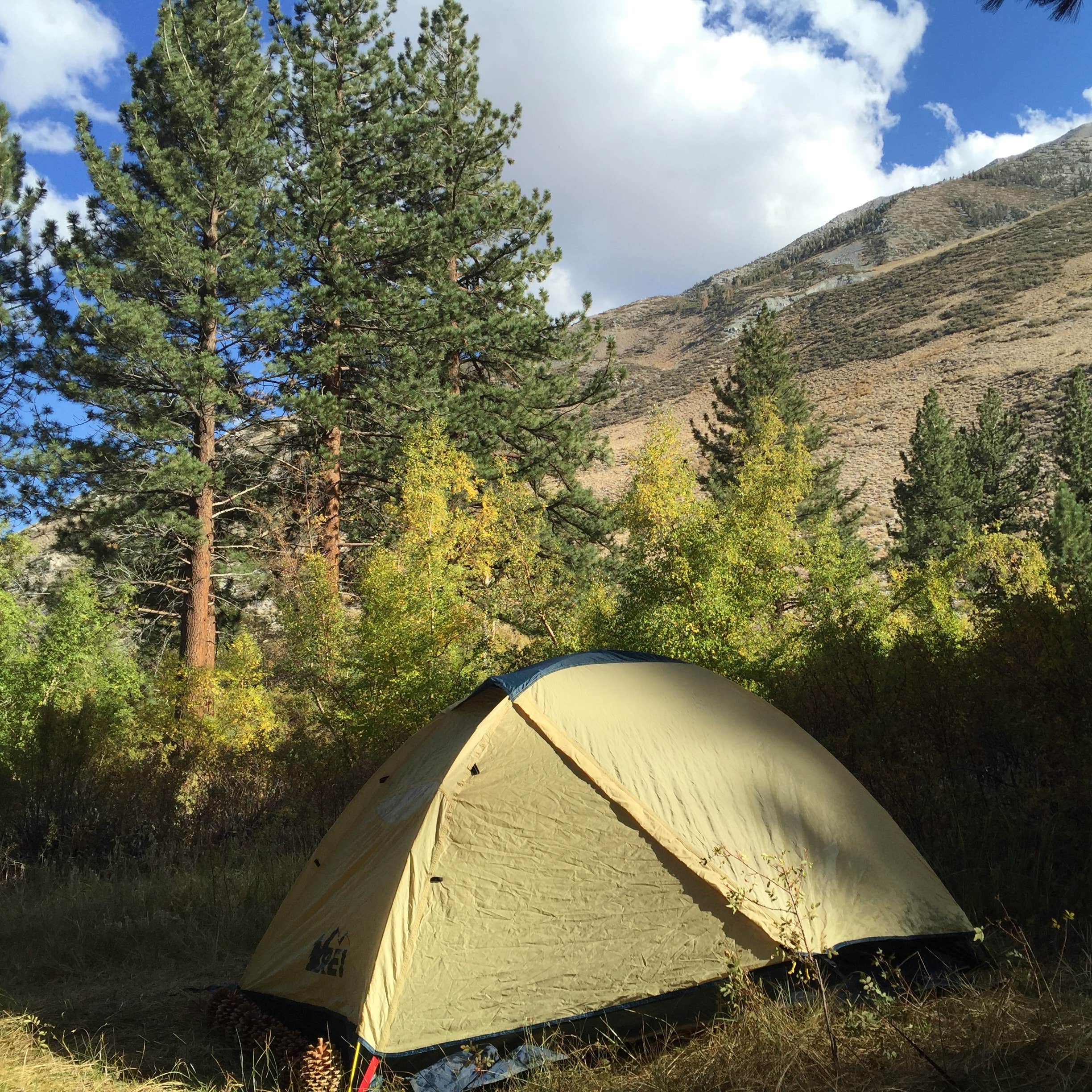 Big Pine Creek Campground Camping The Dyrt