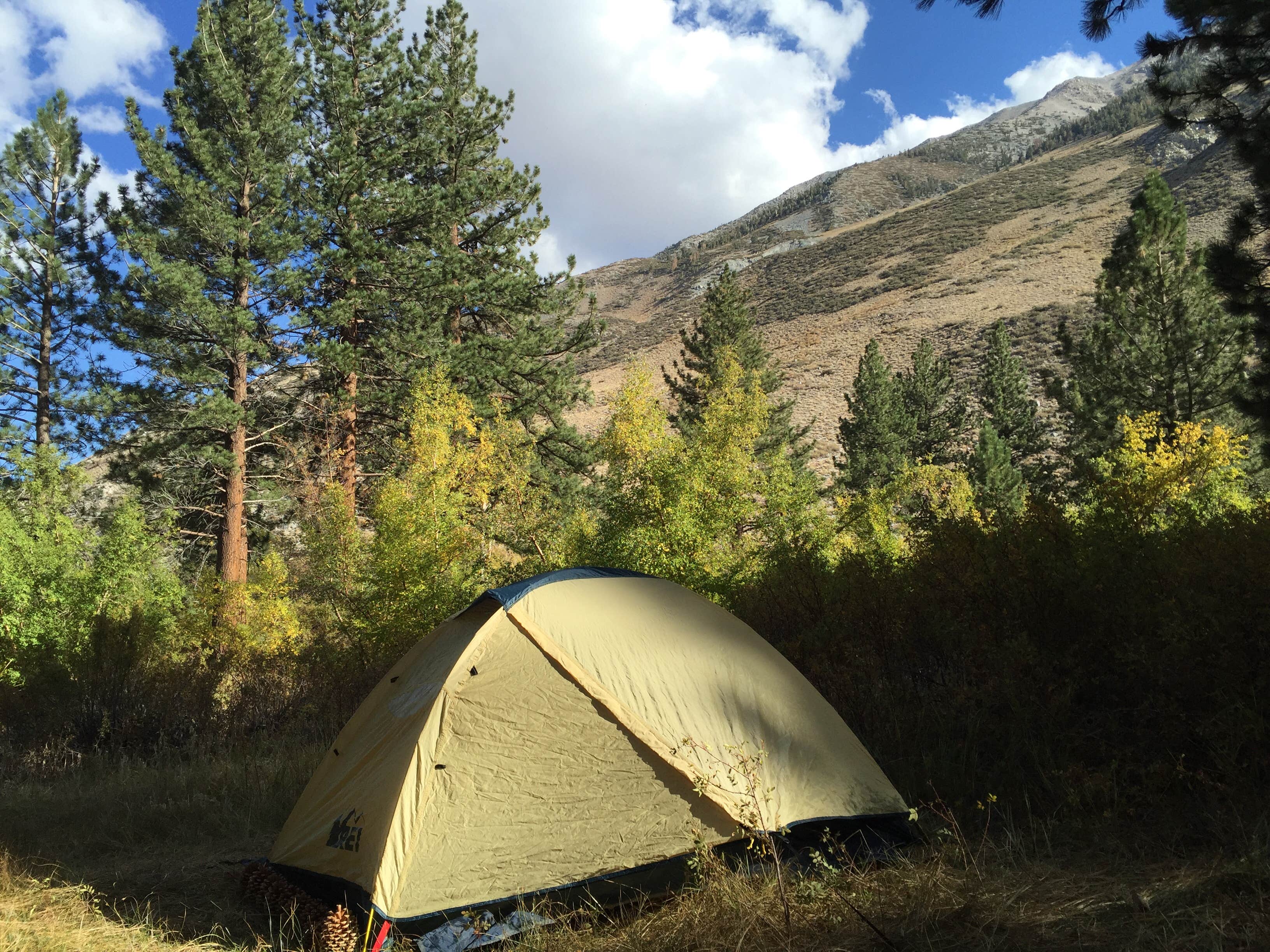 Camper submitted image from Big Pine Creek Campground - 3
