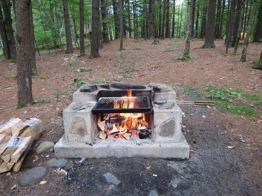 Camper submitted image from Catskill/Kenneth L Wilson Campground - 4