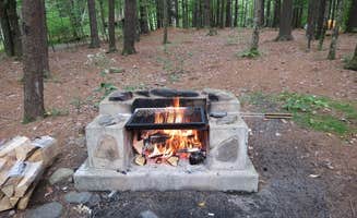 phillip L.'s photo at Catskill/Kenneth L Wilson Campground near Lake Hill, NY