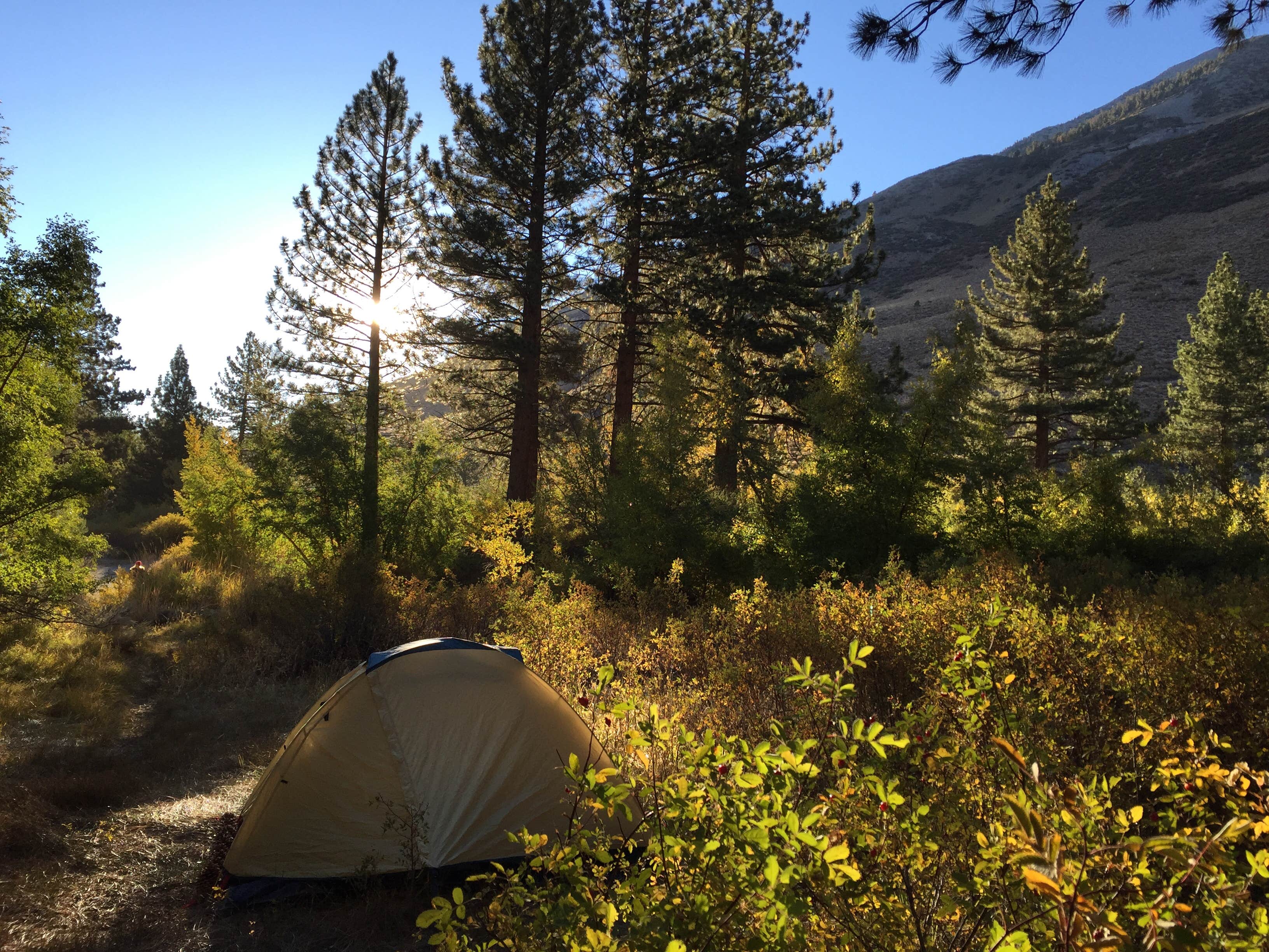 Zack R.'s photo at Big Pine Creek Campground near Big Pine, CA