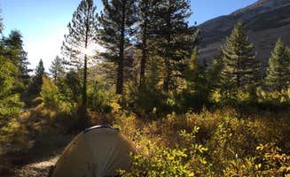 Zack R.'s photo at Big Pine Creek Campground near Big Pine, CA