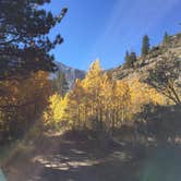 Review photo of Big Pine Creek Campground by Zack R., August 7, 2018