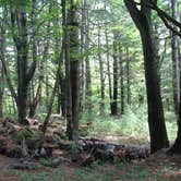 Review photo of Catskill/Kenneth L Wilson Campground by phillip L., July 30, 2016