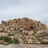 Review photo of Jumbo Rocks Campground — Joshua Tree National Park by Zack R., August 7, 2018