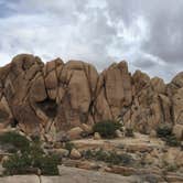 Review photo of Jumbo Rocks Campground — Joshua Tree National Park by Zack R., August 7, 2018