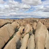 Review photo of Jumbo Rocks Campground — Joshua Tree National Park by Zack R., August 7, 2018