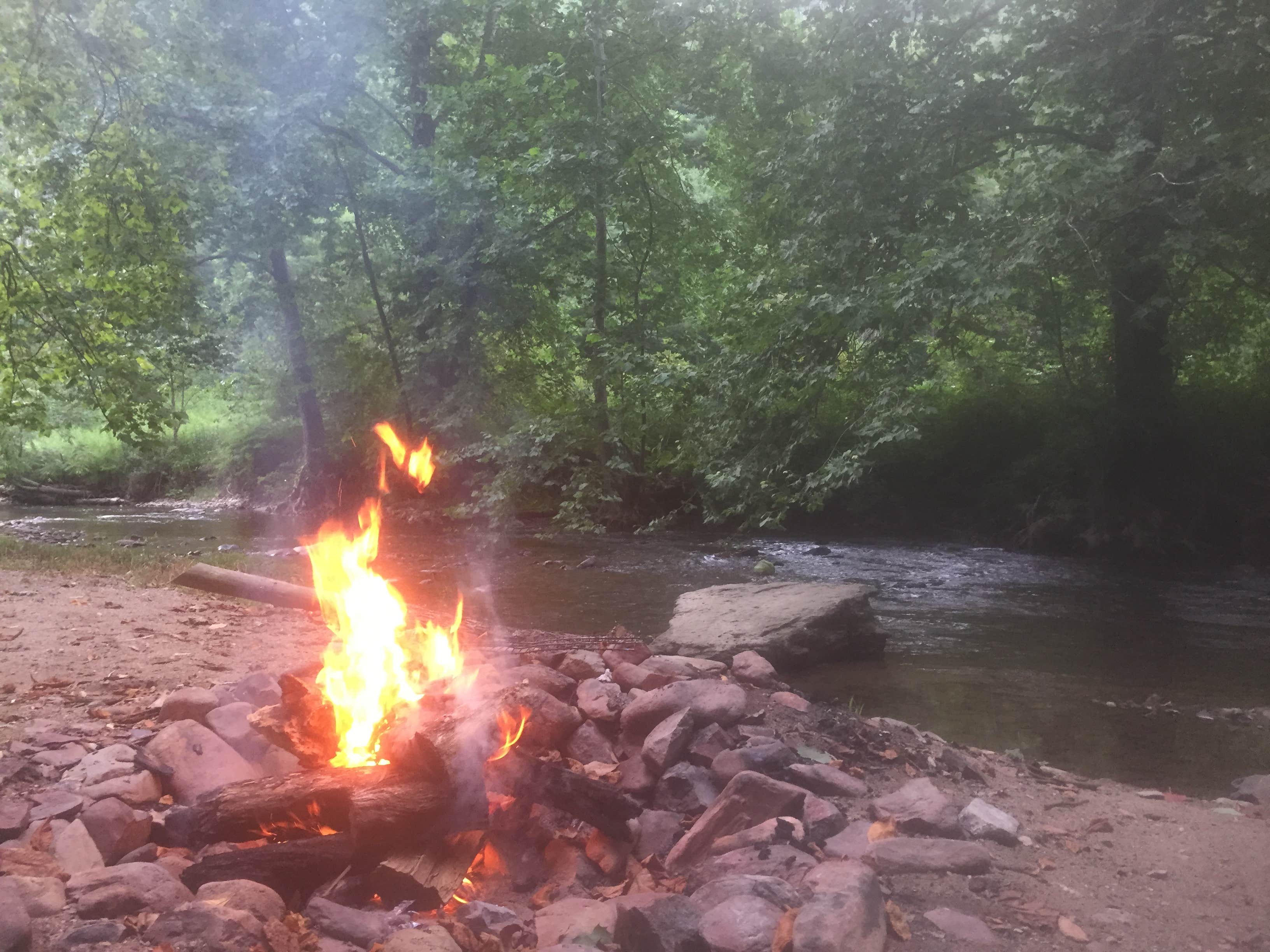 Camper submitted image from Helton Creek Campground - 2