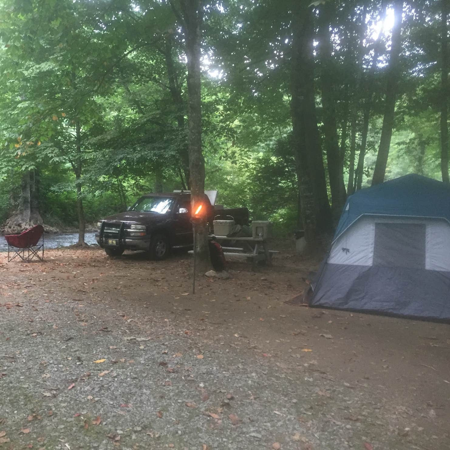 Helton Creek Campground Camping The Dyrt