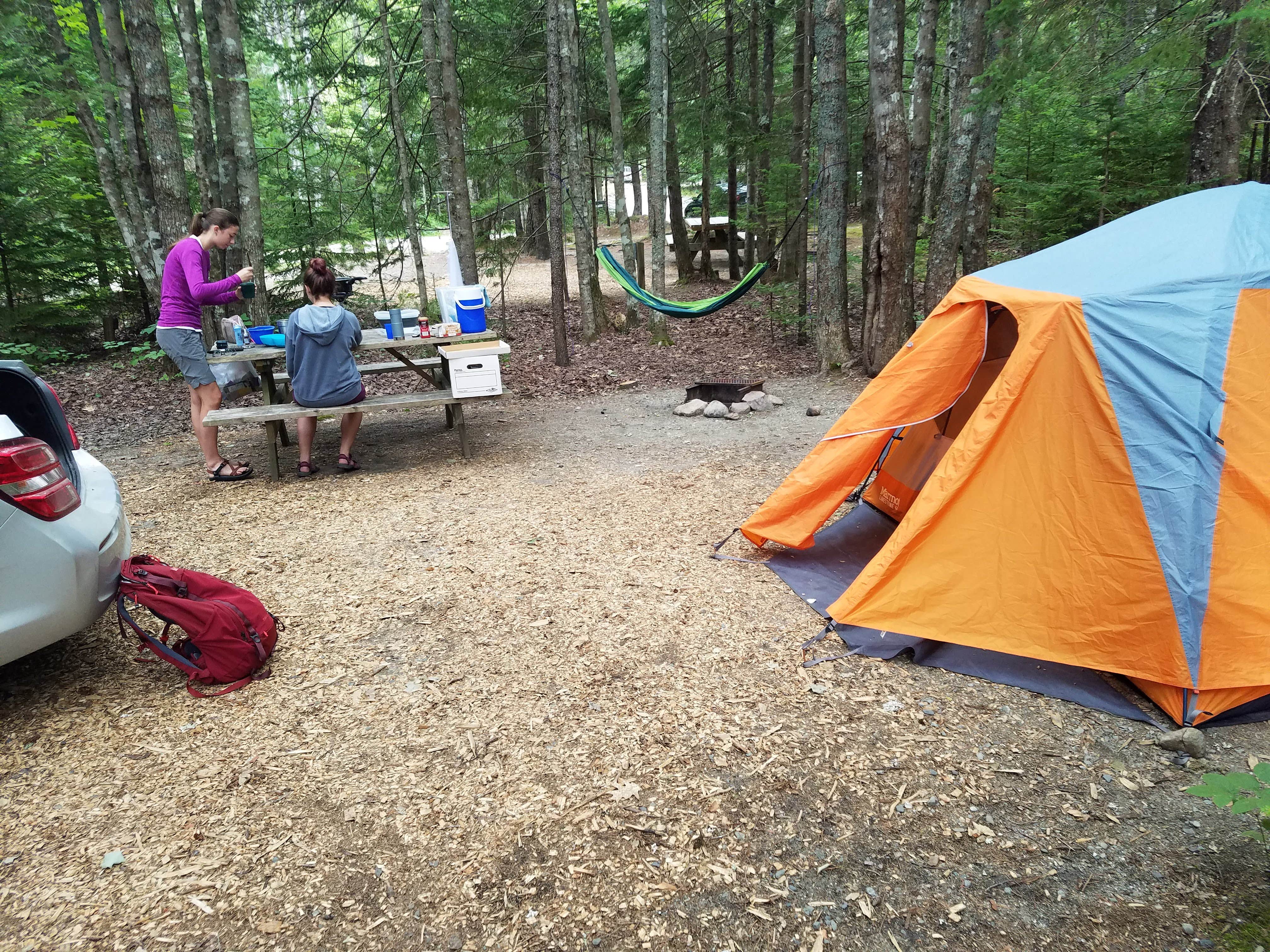 Camper-submitted photo at Mount Desert Campground near Acadia National Park