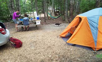 Kelly B.'s photo at Mount Desert Campground near Acadia National Park