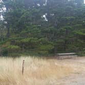 Review photo of South Beach State Park Campground by Tj B., August 8, 2018