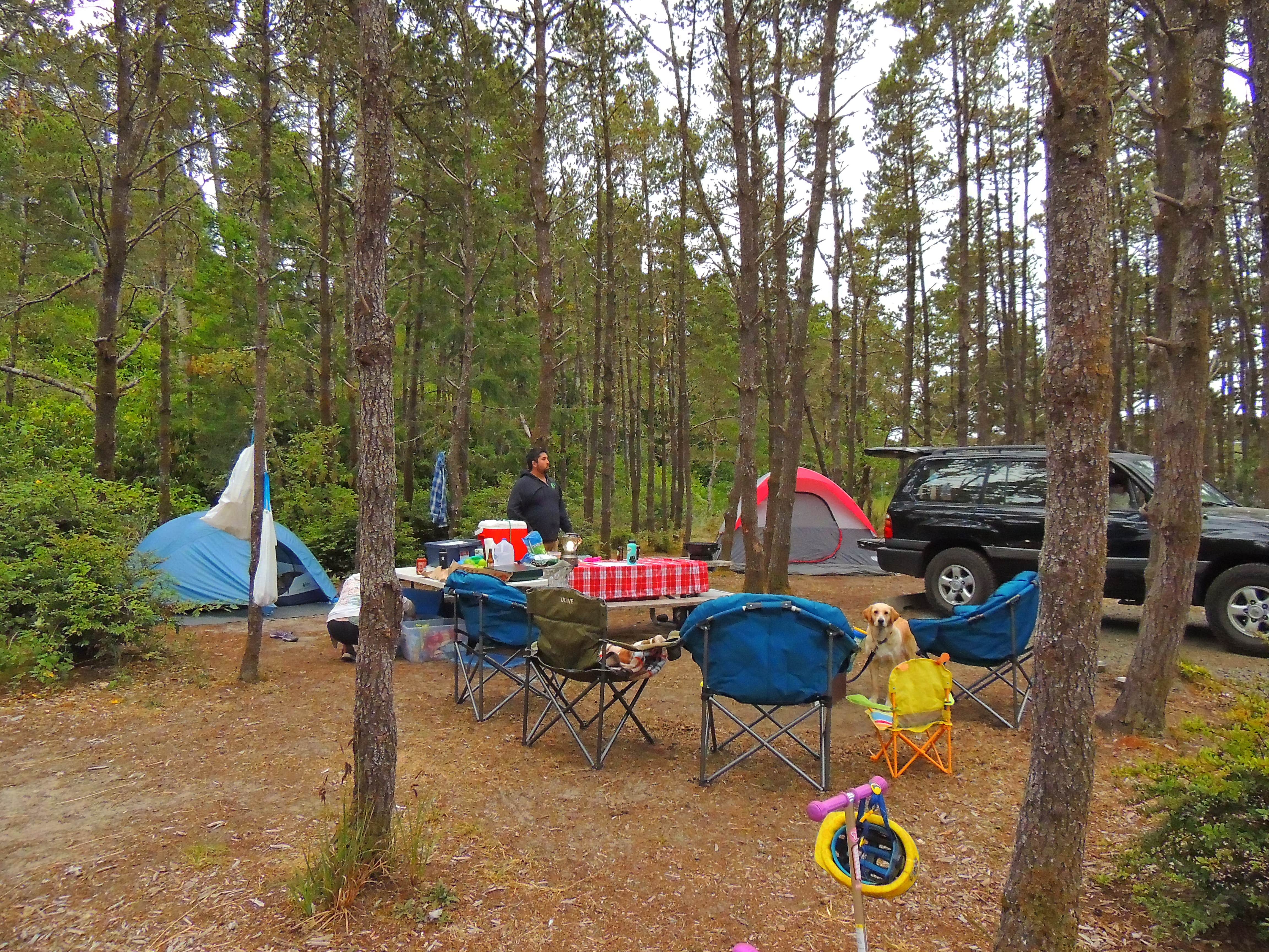 Tj B.'s photo at South Beach State Park Campground near Logsden, OR