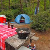 Review photo of South Beach State Park Campground by Tj B., August 8, 2018