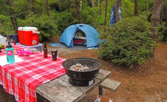 Tj B.'s photo at South Beach State Park Campground near Blodgett, OR