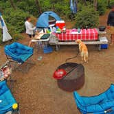 Review photo of South Beach State Park Campground by Tj B., August 8, 2018