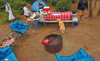 Tj B.'s photo at South Beach State Park Campground near Logsden, OR