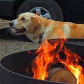 Review photo of South Beach State Park Campground by Tj B., August 8, 2018