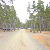 Review photo of South Beach State Park Campground by Tj B., August 8, 2018