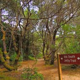 Review photo of South Beach State Park Campground by Tj B., August 8, 2018
