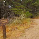 Review photo of South Beach State Park Campground by Tj B., August 8, 2018