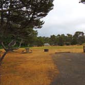 Review photo of South Beach State Park Campground by Tj B., August 8, 2018