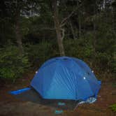 Review photo of South Beach State Park Campground by Tj B., August 8, 2018