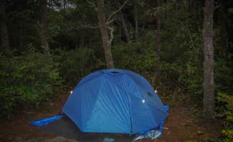 Tj B.'s photo at South Beach State Park Campground near Newport, OR
