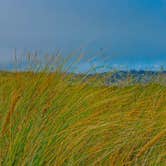 Review photo of South Beach State Park Campground by Tj B., August 8, 2018